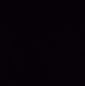 Meet your Posher, Daisy